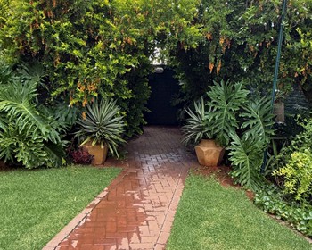 Ivy room garden - April 2026