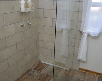 Palm Room shower (12) - April 2026
